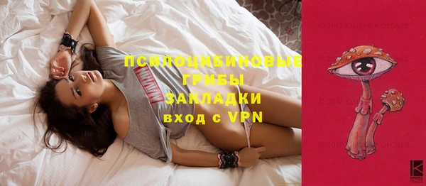 твердый Майский