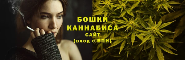 твердый Майский