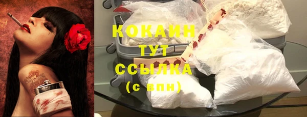 твердый Майский