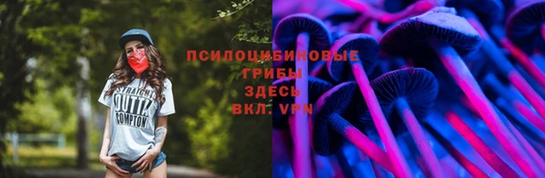 мет Магас