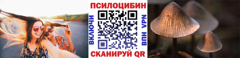 mega сайт  Шали  Галлюциногенные грибы Psilocybine cubensis 