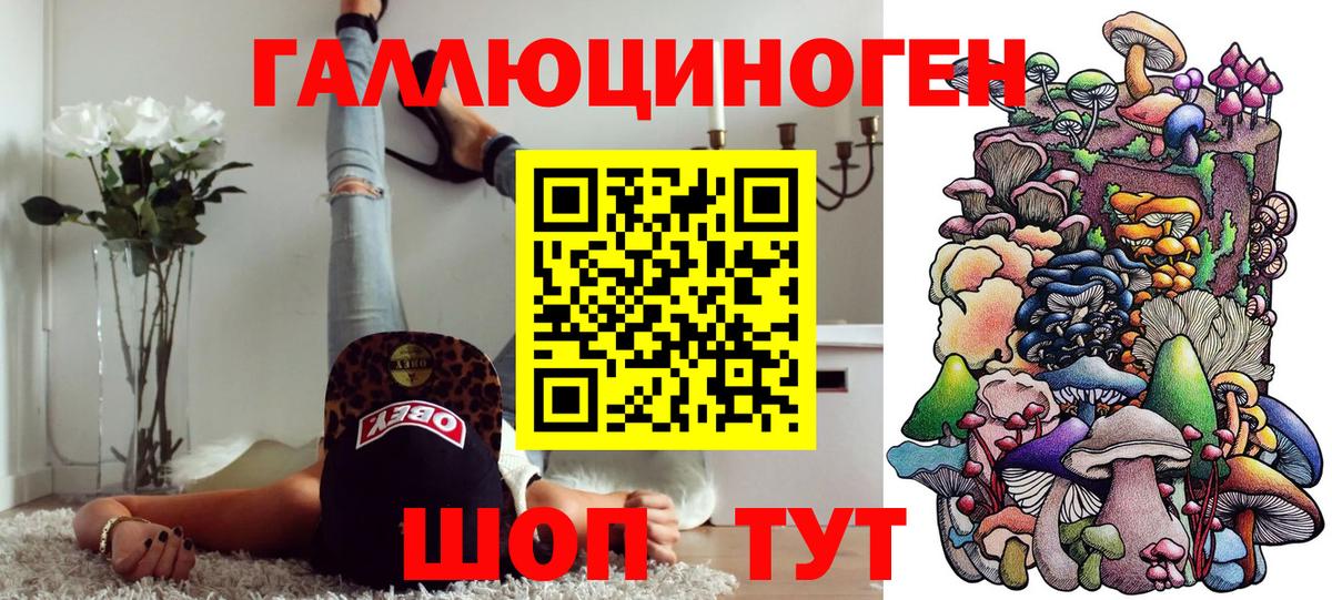 где купить наркоту  Галлюциногенные грибы ЛСД  Вход с VPN  Шали 
